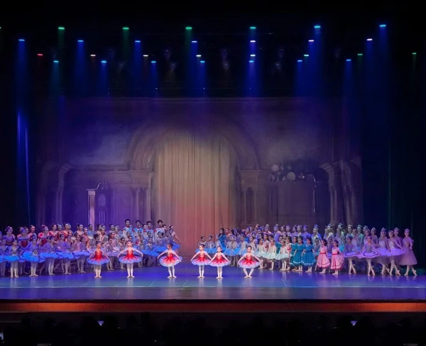 Spettacolo annuale teatrale professionale