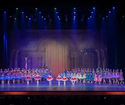 Spettacolo annuale di teatro professionale
