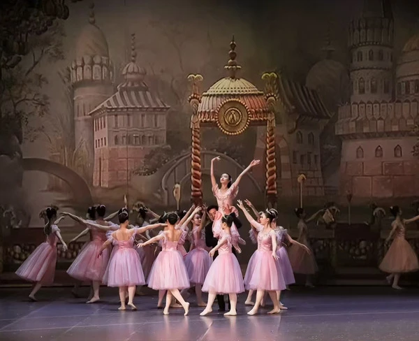 Collaborazione con un rinomato istituto di formazione di balletto giapponese
