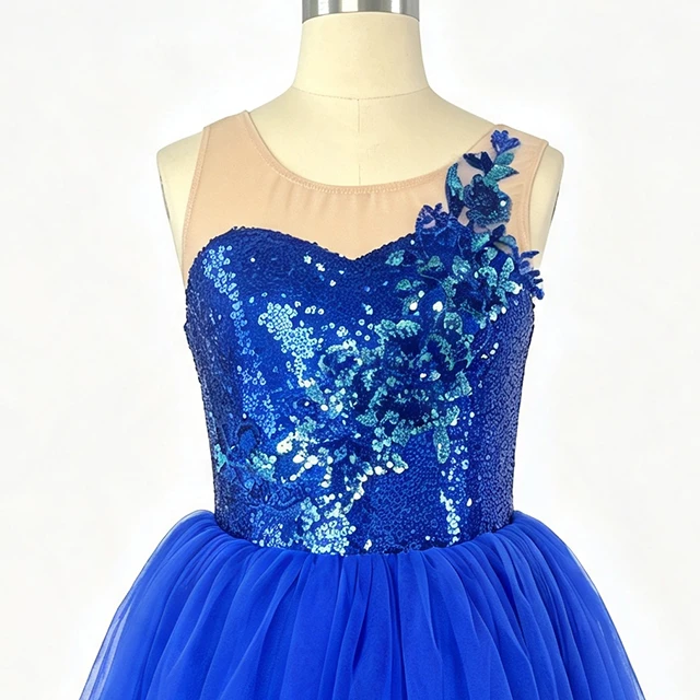 Royal Blue Sequin Floral Applique Ballet Dress | XGZ0250